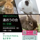 保護うさぎ譲渡会 保護うさぎさんに逢おうの会in京都【4/5】