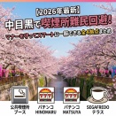 【2026年版】桜と煙と中目黒。お花見をスマートに楽しむための喫煙スポット備忘録