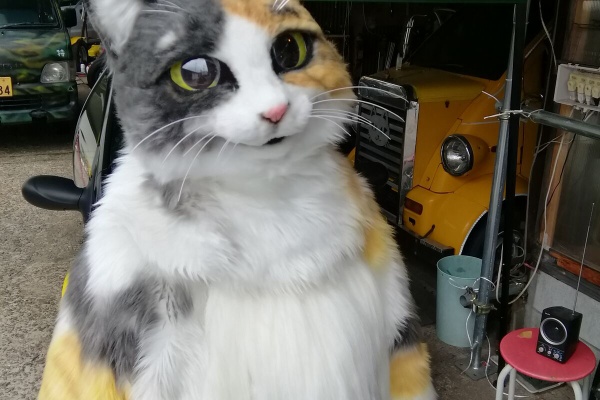 猫のラーメン屋さん、今は焼き芋屋さん、山田三毛猫 - 猫の焼き芋屋
