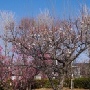 「マイストーリー　私の物語」（林真理子）～令和徒然紀行～