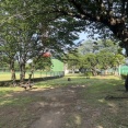 沼津市営球場のところの沼津北公園。朝のお散歩がきもちがいい。中体連、最後の試合会場でした。(沼津市泉町)