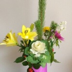 滴定曲線、溶解度などーエクセルを用いて