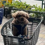 ★コラアゲンはいごうまんのブログ『僕の細道』