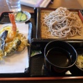 南信徘徊　(*ΦωΦ*)にゃー