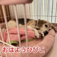 最悪の状態で病院へ行こう