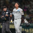 阪神ゴールデンドラ1 立石正広の1年目の成績ｗｗｗｗｗｗｗｗｗｗ