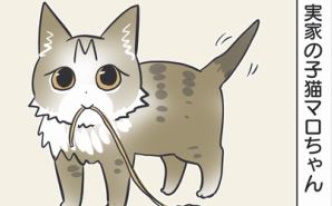 おそらくその平凡こそ幸せ　猫と家族の日常絵日記