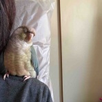 waka ⭐ のの＆のあ そしてぎずも