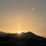 アナベルにかこまれて