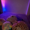 【フィリップスヒュー フロアランプ】300ドルの間接照明💡