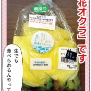 コレ初めて！「食べるお花」