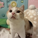 3-1805：サイコロを同時に3個投げる時、目の積が10の倍数になる確率は？...基本 ^^...