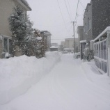 『２月下旬だというのにこの冬一番の嵐』の画像