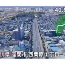 面白い動画を見つけましたので紹介します