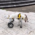 頑張ってます