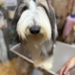 お客様のご紹介