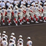 『アンケート結果にビビってはいけない』の画像