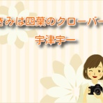 きみは四葉のクローバー【ネタバレ】最新話までお届け！