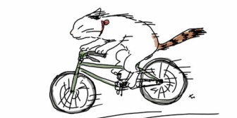 地元の友達と遊んでた時に近所の遊歩道に繋がる階段脇の坂をチャリで滑り下りのチキンレースをした結果、宙に舞った