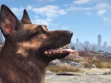 Fallout4 - コンパニオンについて