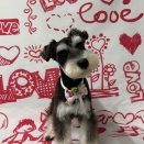 ナタリーちゃん