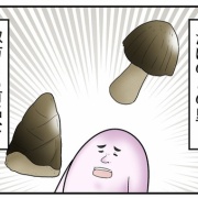 きのこの山vsたけのこの里大戦争