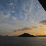 有機無農薬栽培茶　国友農園