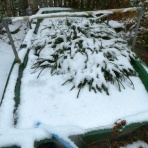 　　 三田市 里山遊びの日記