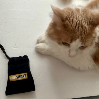 付録付き雑誌の折りたためるサングラス