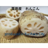 『おいしくヘルシーな栗原産のれんこんを食べよう🥢』の画像