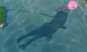 恋咲島の池でドッキリ