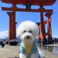 ナザレの人が本気で大切にしてる行事です