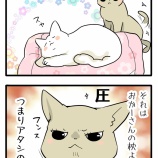 ねこ漫画＜それはわたしの＞