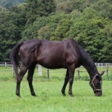 『別行動』の画像