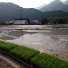 ���Ŀ������٤β���