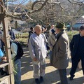 円覚寺でお餅つき