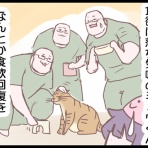 ネコ飼いの飼いネコまんが ねこボイ
