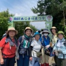 開成町の紫陽花見学