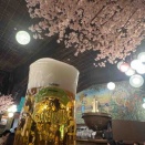 銀座ライオンでお花見＆ベルグで朝食