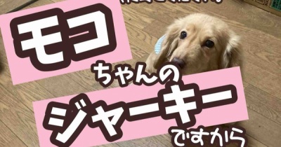 女帝のいち日。