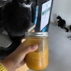 【ご飯日記＋猫】鴨の卵アレルギーっぽい・ダークライと米粉のパン