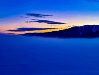 「落選投票権」