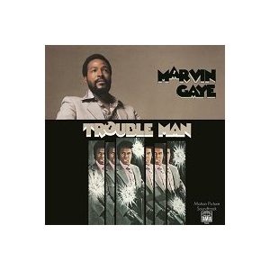 In Our Lifetime / Marvin Gaye : FUNK OF AGES