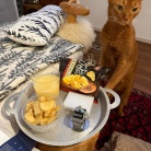 ひとりごはん１週間