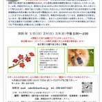 新座志木　がん哲学外来・カフェ