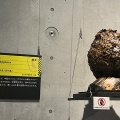 超危険生物展