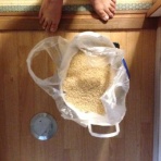 ブログで家族を養えるのか