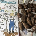 手前味噌創りや野草酵素　 スキンケアにも活用