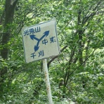 葉っぱ塾～ブナの森から吹く風