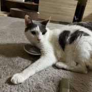 あなたが居なくなって3年が経ちました